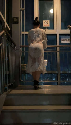 奶牛2